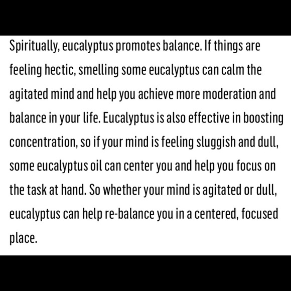 Hand-made All Organic Wax Melts Eucalyptus - Picture 3 of 3